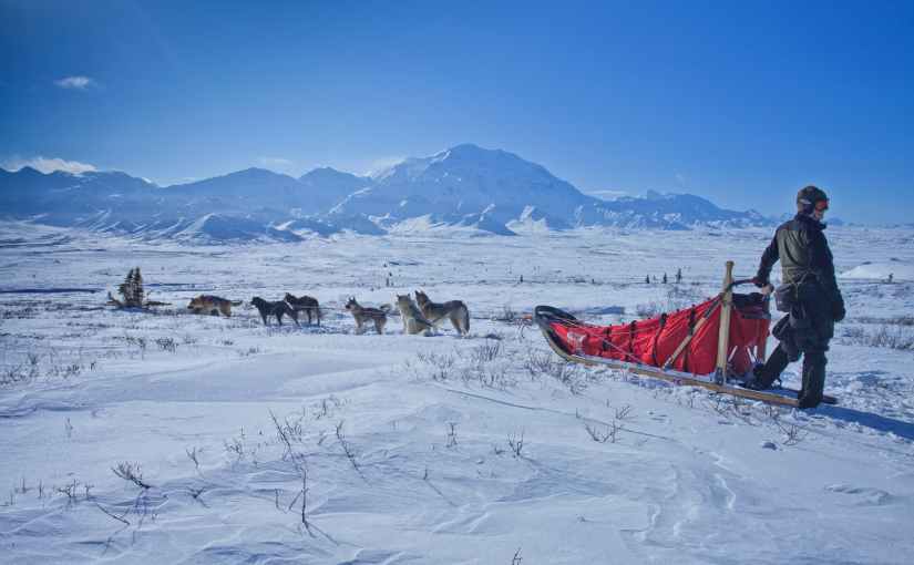 A Little Bit About Siberian Husky&nbsp;History